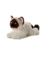 Peluche Bella birman cat Aurora Niño Gato 30 cm