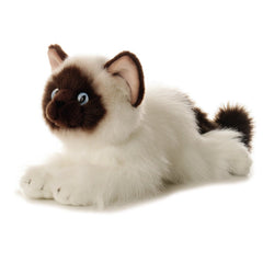 Peluche Flopsies - Bella 30cm Gato