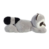 Peluche Roy Raccoon Aurora Ñiño Mapache 30 cm