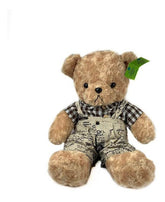 Peluche Peluche Osos Viajadores Precio Mayoreo 48cm