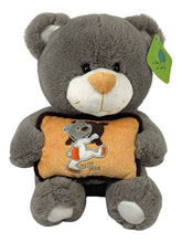 Peluche Oso Gris 26cm Regalo Precio Mayoreo