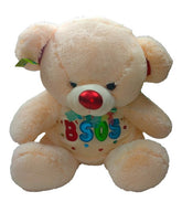Peluche Oso Xoxo Precio Mayoreo 70cm El Mundo De Sofía