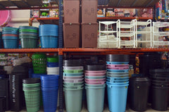 Pg Cesto Calado C/tapa Azul