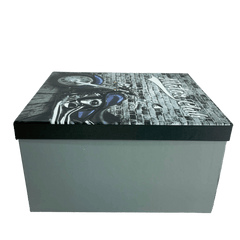 Set de 10 cajas diferentes tamaños. Motos