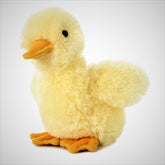 Peluche Duckling Aurora Niño Pato 20 CM