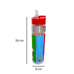 Botella con popote Snoopy Peanuts Plástico 650 ml