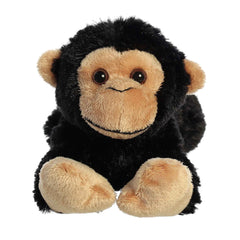 Peluche Cory chimp Aurora Niño Chimpancé  20 CM
