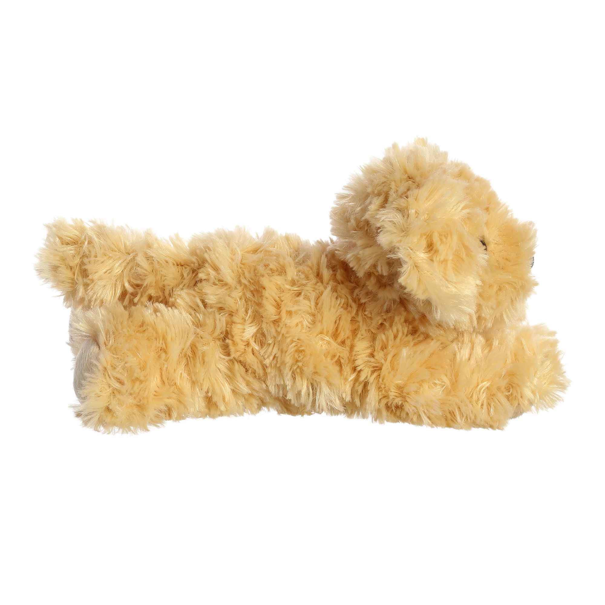 Peluche Ginny Goldendoodle AURORA Niño PERRO 20 CM