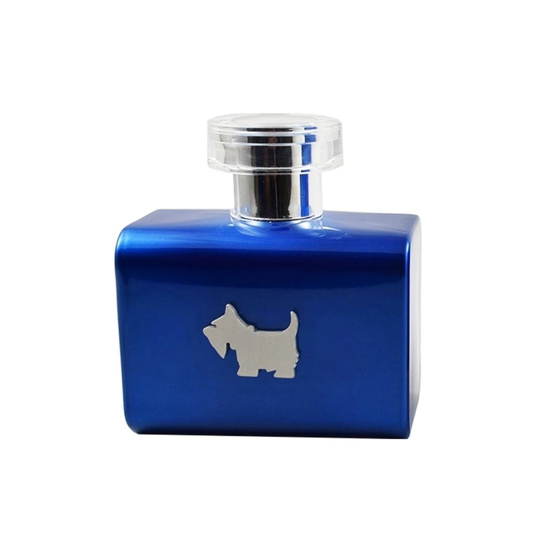 Perfume Ferrioni Blue Terrier Hombre De Ferrioni Edt 100ml