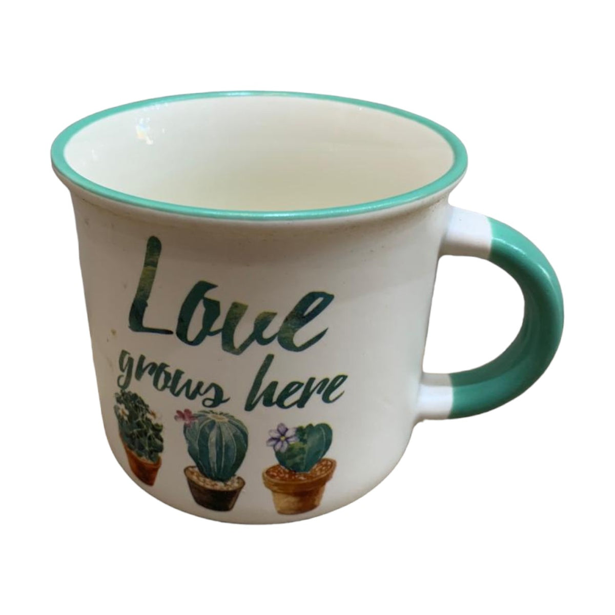 Tazas de porcelana cactus Love grows here 350ml